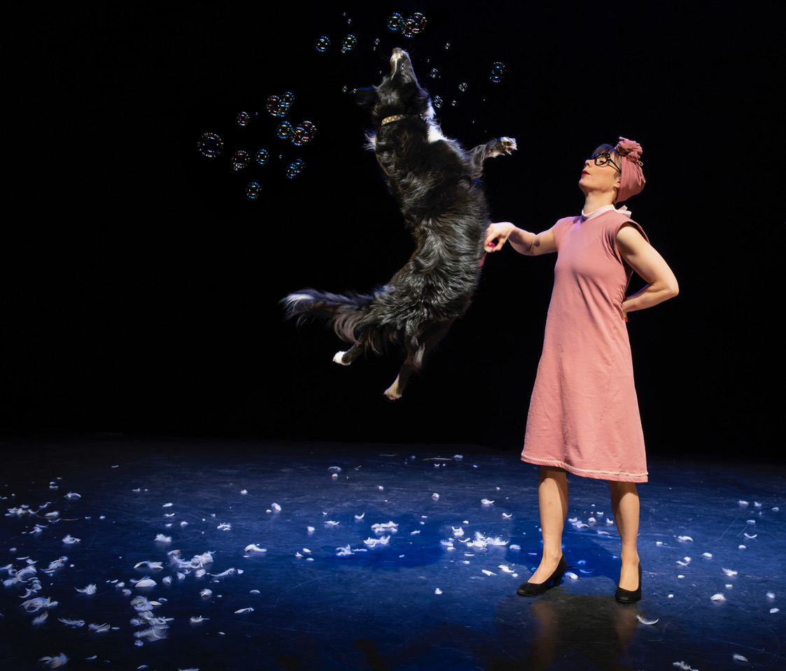 Poil de la Bête - OPUS 3 - La Batoude, centre des arts du cirque et de la rue