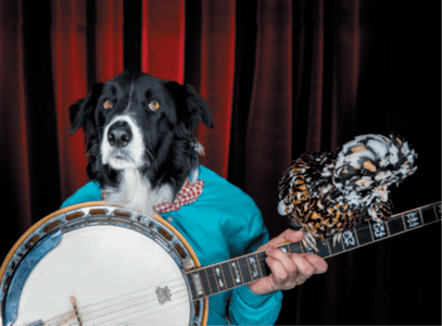 Quand les poules joueront du banjo - La Batoude, centre des arts du cirque et de la rue